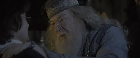 Harry Potter — Did You Put Your Name in the Goblet of Fire cover